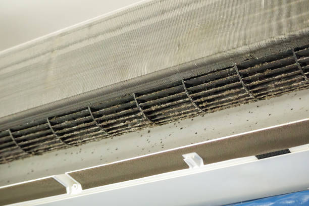 Best HVAC Duct Inspection Services  in Highfill, AR